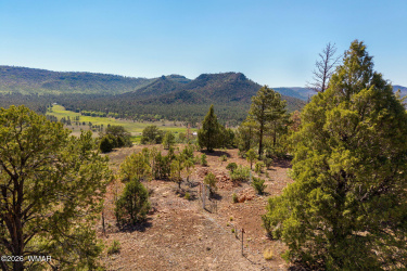 N2280 NME LOTS 47 & 48, Nutrioso, Arizona 85932, ,Land,For Sale,NME LOTS 47 & 48,261398