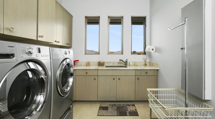 511NGrapeVine031
