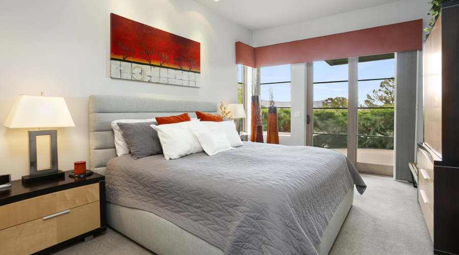 511NGrapeVine049