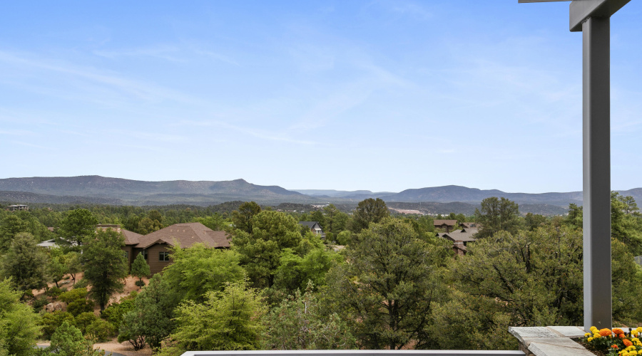 511NGrapeVine068