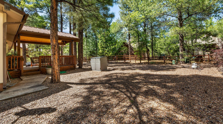 4872DriftingSnowLoop-Pinetop-AZ-24