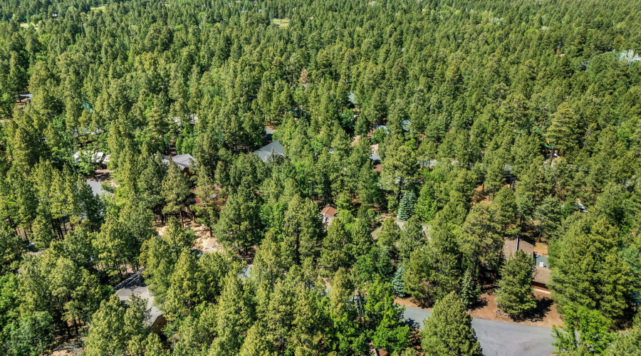 4872DriftingSnowLoop-Pinetop-AZ-31