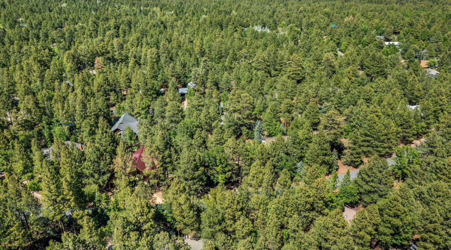 4872DriftingSnowLoop-Pinetop-AZ-32