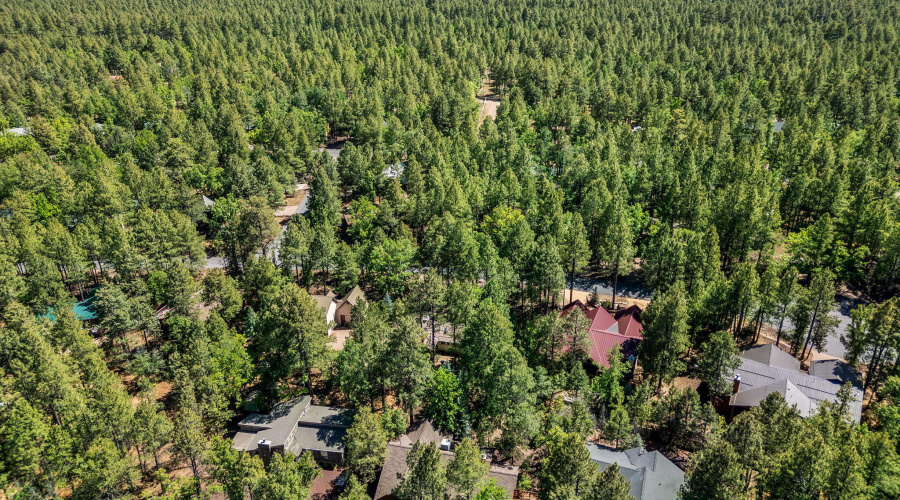 4872DriftingSnowLoop-Pinetop-AZ-33