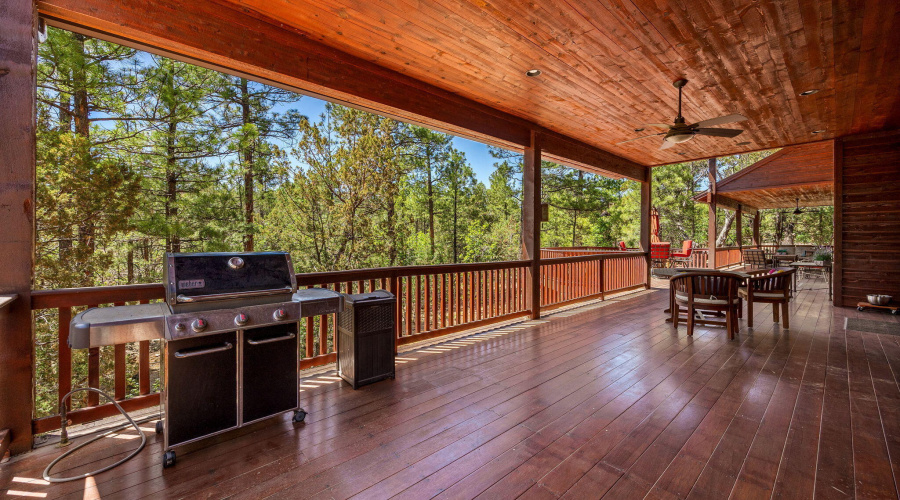Back Deck