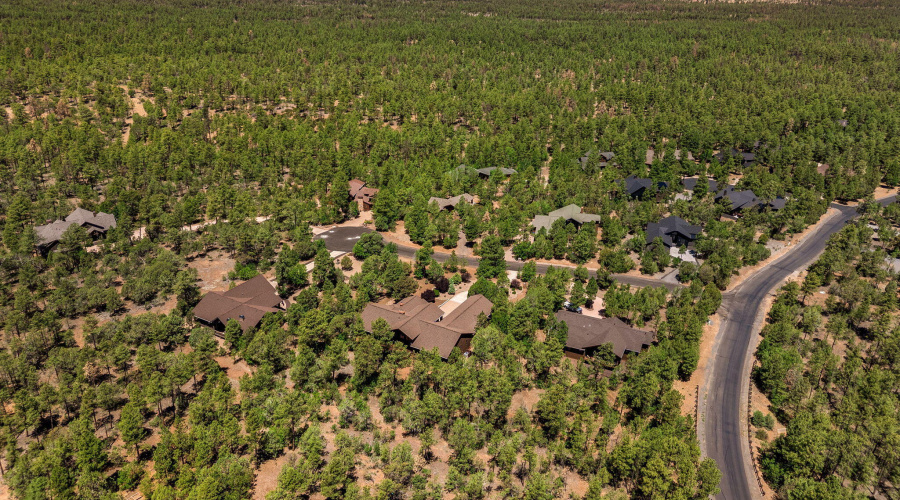 4631StonecropLn-ShowLow-AZ-50