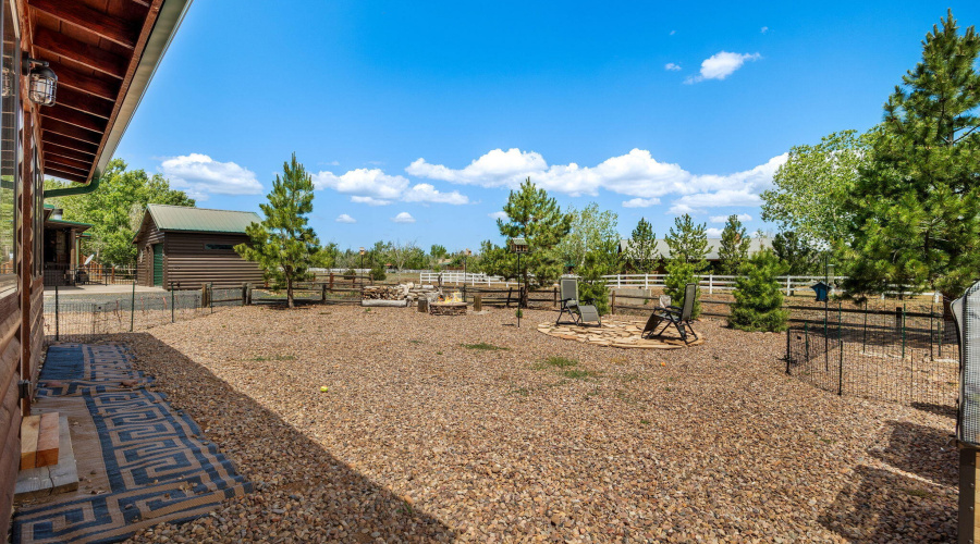 BACK YARD