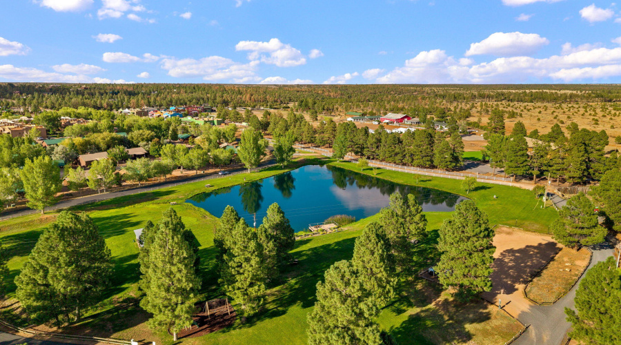 AERIAL OF THE PARK