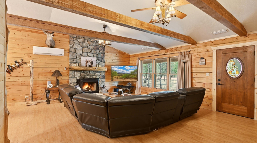 12 LR Fireplace