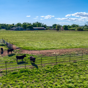 PaxmanPh_DJI_20260520164527_0640_D