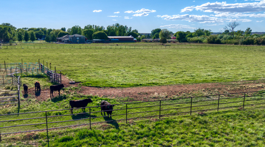 PaxmanPh_DJI_20260520164527_0640_D
