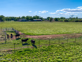 000 Snowflake Boulevard, Snowflake, Arizona 85937, ,Land,For Sale,Snowflake,261419