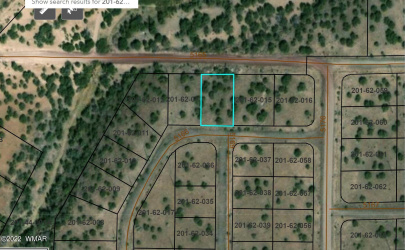 TBD CR 5166, Concho, Arizona 85924, ,Land,For Sale,CR 5166,261422