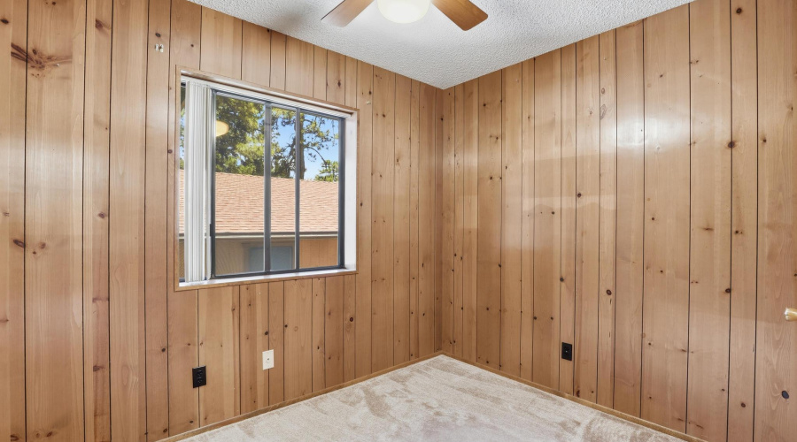 Timber_Dr_008