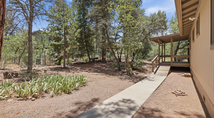 Timber_Dr_018 copy