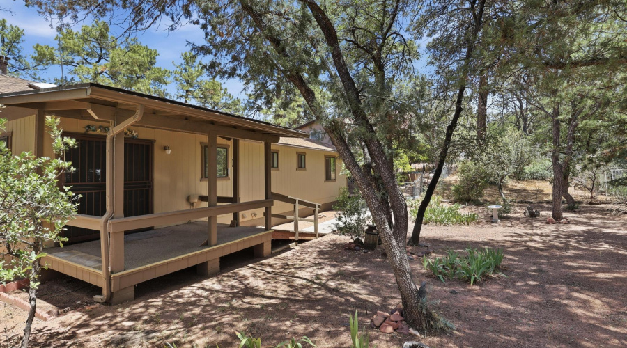 Timber_Dr_020