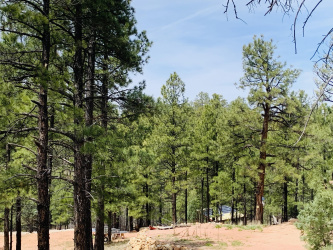 2816 Canyon View Drive, Happy Jack, Arizona 86024, ,Land,For Sale,Canyon View,93865