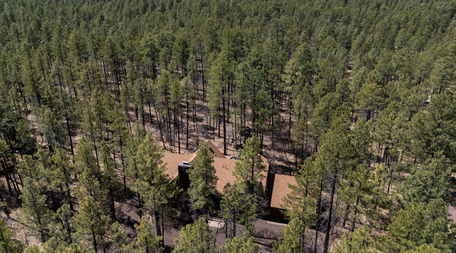 LovettBobcatoverview