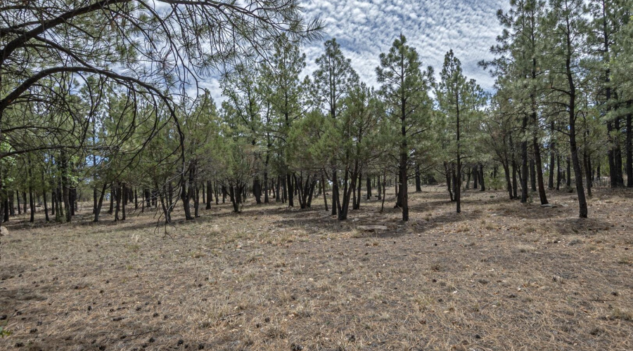 More land