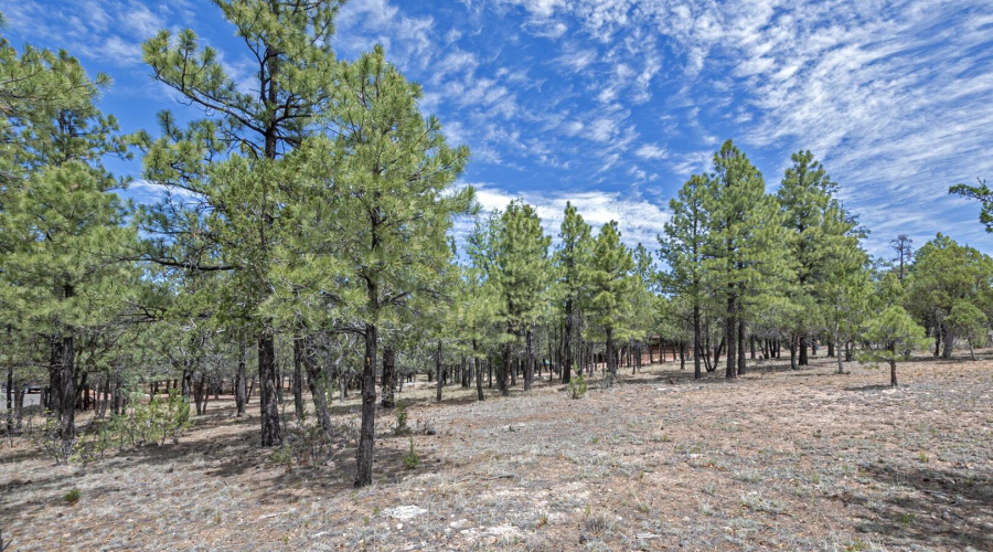 Adjacent Land