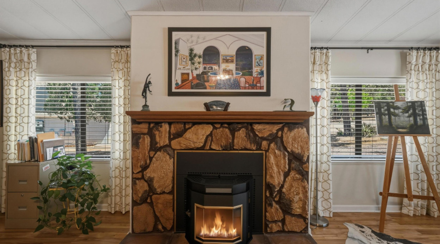 Fireplace with Pellet stove insert