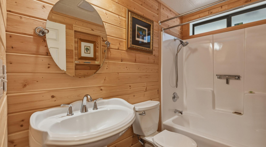 Guest bathroom