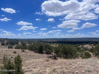41 Indian Drive (CR 8062), Concho, Arizona 85924, ,Land,For Sale,Indian Drive (CR 8062),261440