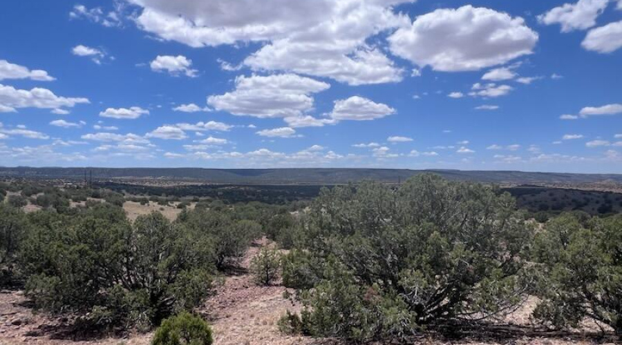 Long Range Views