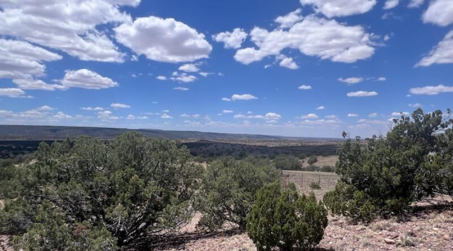 Blue Skies