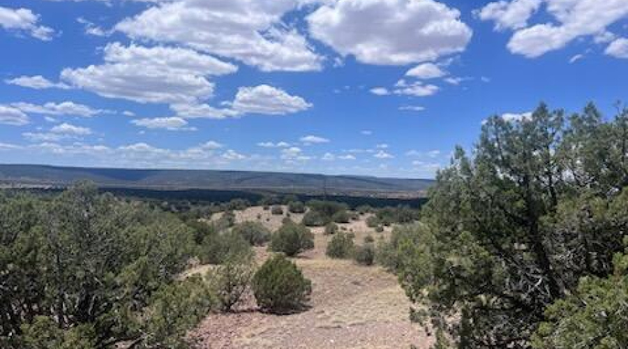 Wide Open Spaces
