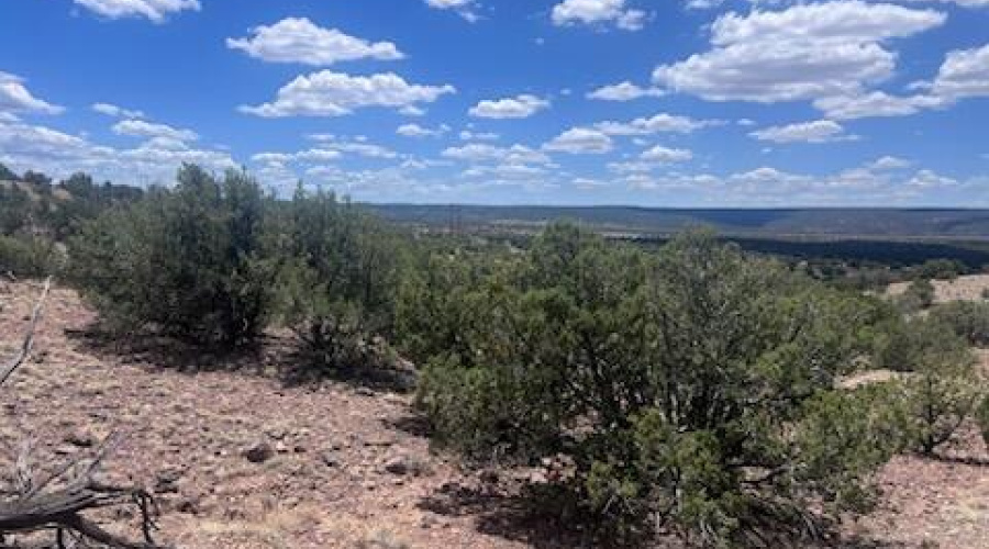Where the deer and antelope roam