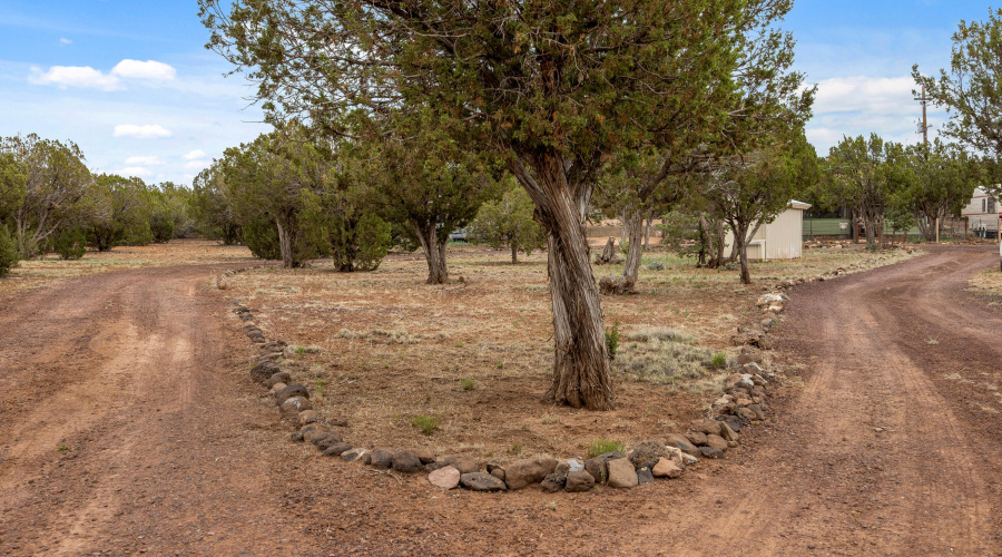 2245MazatzalSt-ShowLow-AZ-25
