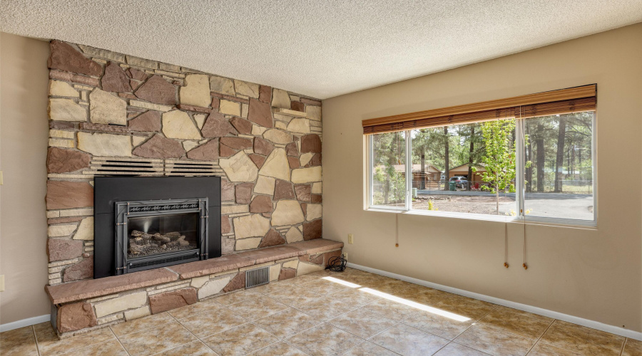 STONE GAS FIREPLACE