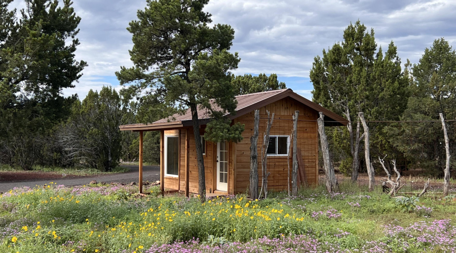 26 Palomino Place, Vernon, AZ 85940