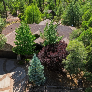 51_dji_0549
