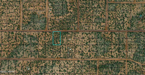 170 Co Road, Vernon, Arizona 85940, ,Land,For Sale,Co,261449