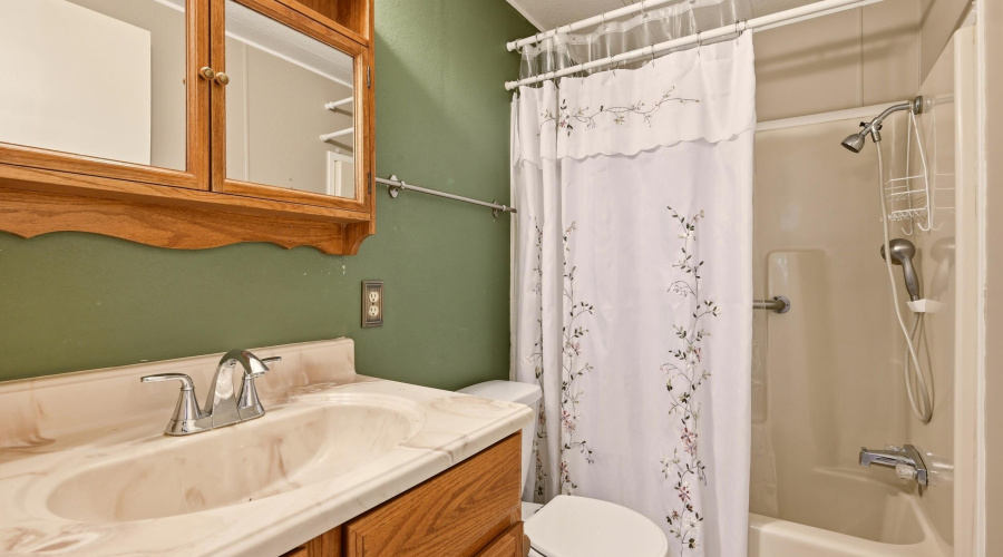 Guest bathroom