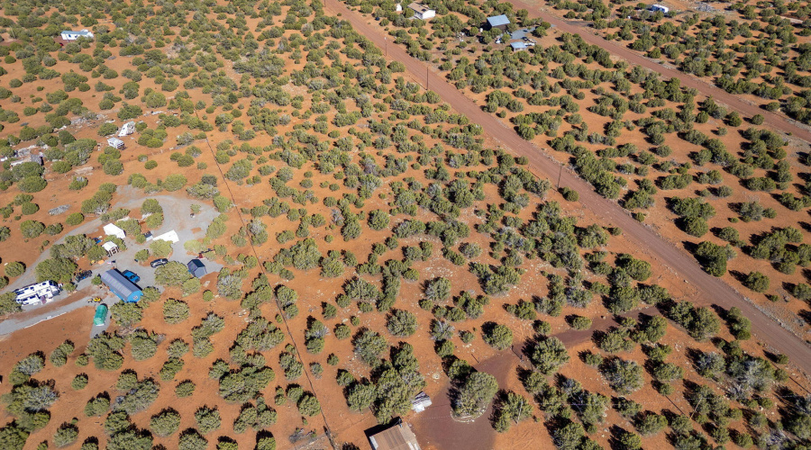 233CR8088-Concho-AZ-10