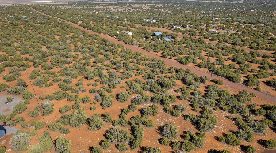 233CR8088-Concho-AZ-11
