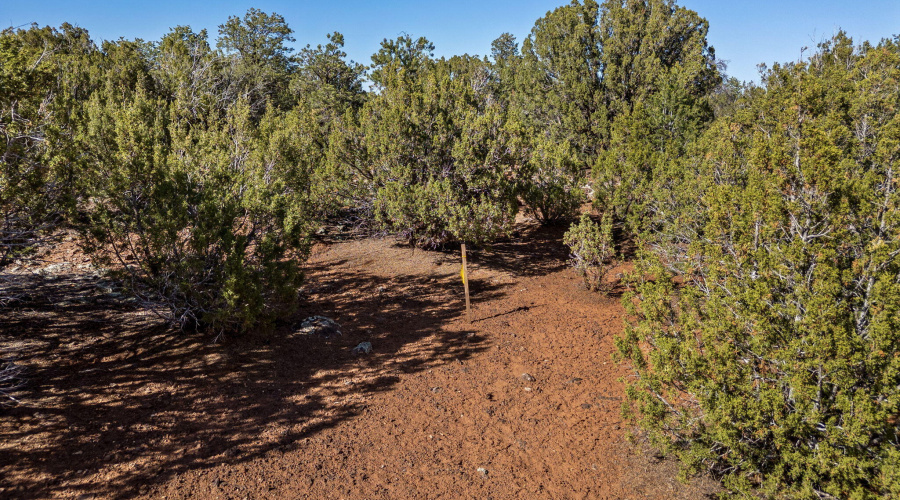 233CR8088-Concho-AZ-13