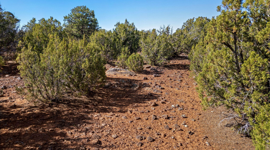 233CR8088-Concho-AZ-14