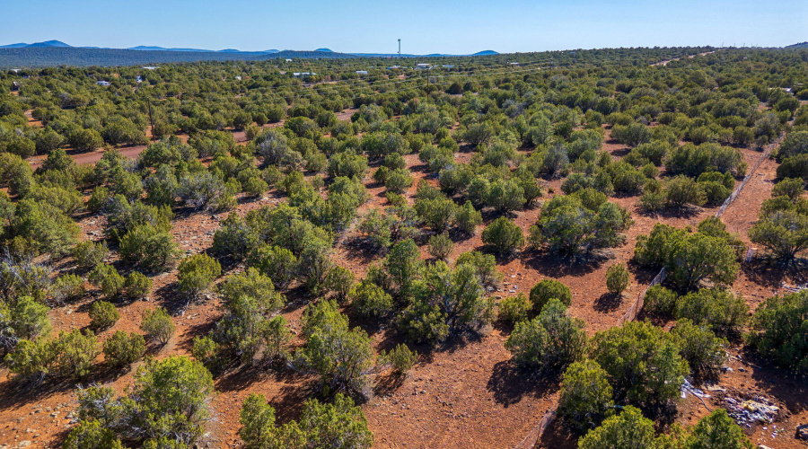 233CR8088-Concho-AZ-15