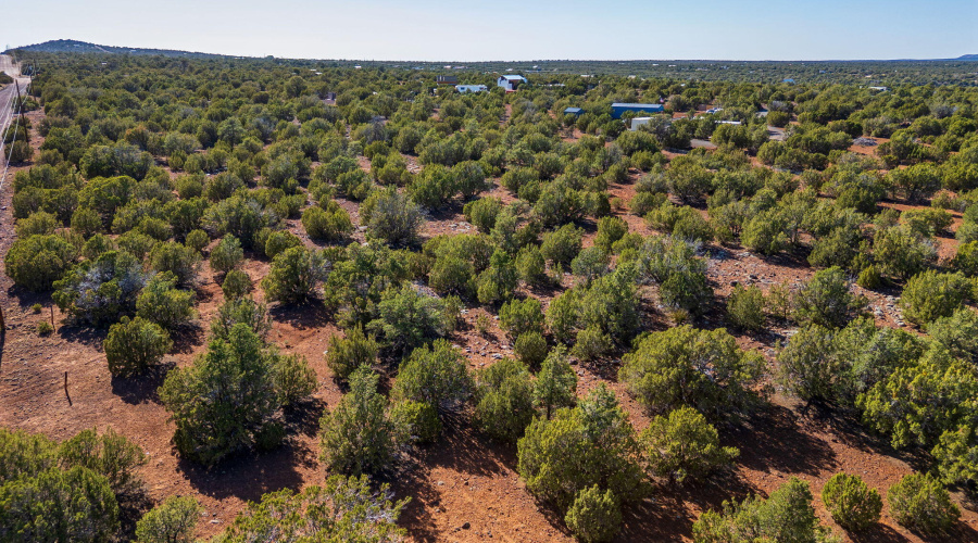 233CR8088-Concho-AZ-16