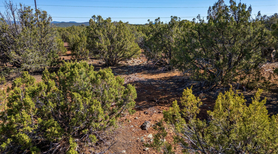 233CR8088-Concho-AZ-17