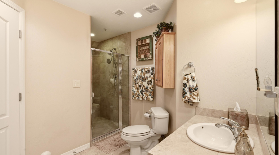 Lower Level Guest Bathroom