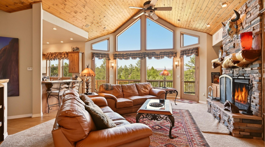 Living Room Window Views