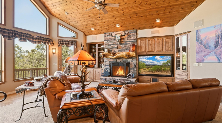 Living Room Vaulted Ceiling