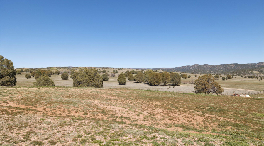 36-web-or-mls-47966-az-288