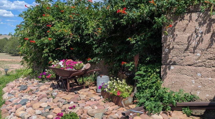 40-web-or-mls-47966-az-288
