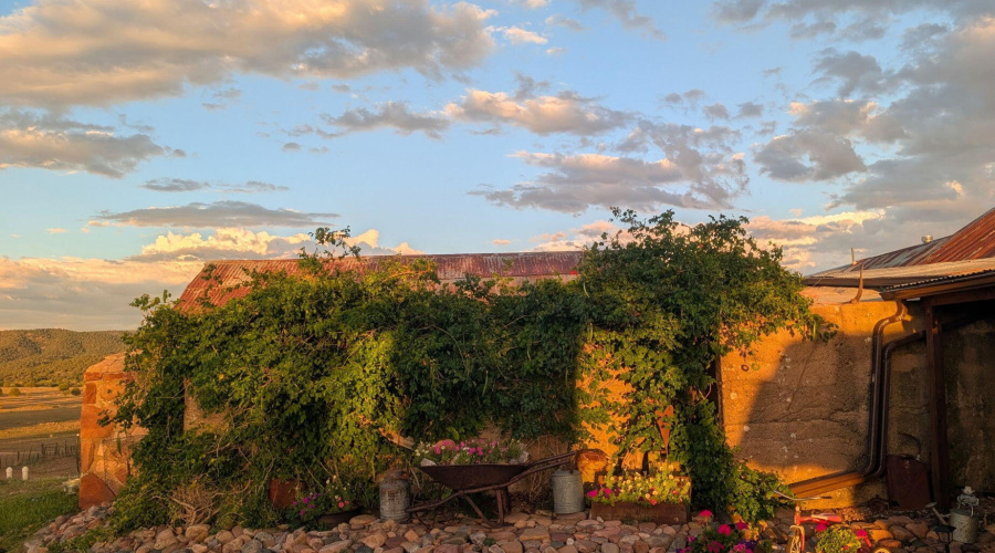 41-web-or-mls-47966-az-288
